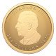 Pièce d'or Feuille d'érable canadienne de 1 oz 2025 | Pièce d'or Feuille d'érable canadienne la plus pure de 1 oz 2025